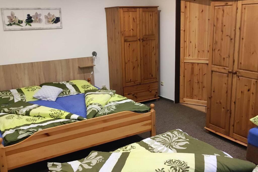 Samoska - Krkonose Villa Rudnik Ngoại thất bức ảnh